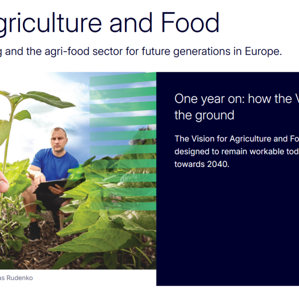 Vision for agriculture: a final version watered down by DG Trade