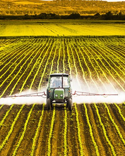 Export ban sur les pesticides